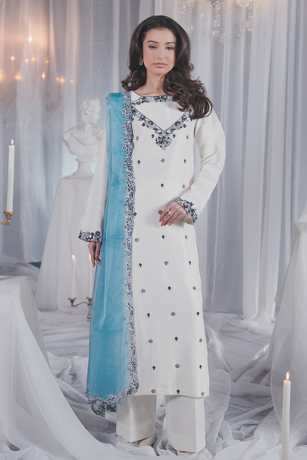 formal dress in pakistan Lavish Premium Pakistani Party Wear Dresses main image 1